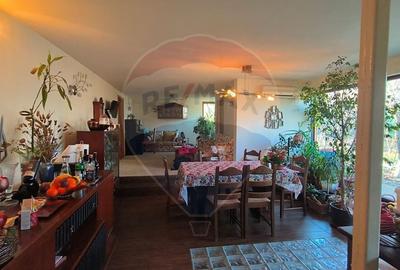 Casă cu 4 camere cu Teren 3495 Mp în Nord-Est - 4