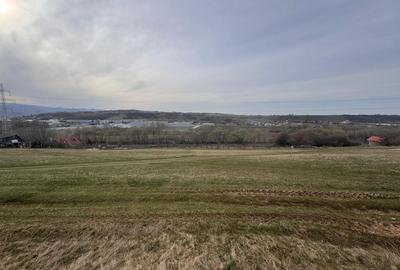 Teren agricol intravilan de 650 mp, în Est - 4