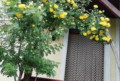 Vand casa 3 camere in Deva