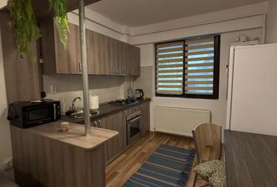 Apartament cu o cameră zona Palas - 2