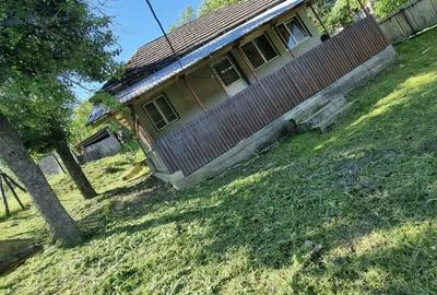 Casă cu 1 camere cu Teren 15000 Mp în Central - 3