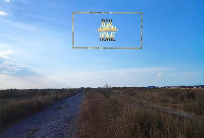 1800 mp zona Nenciu Stoian, lângă lac - 11
