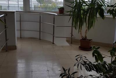 Spațiu comercial, de 465 mp, în Nord - 3