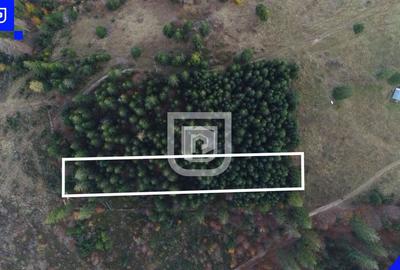 Teren situat in Frasin | BUCOVINA - 3