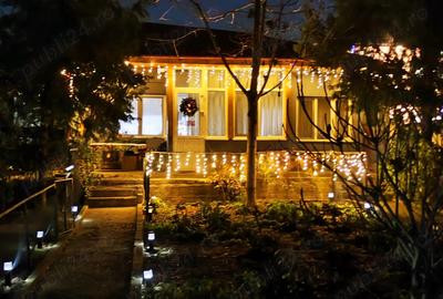 Casa pe lac de vanzare! - 9