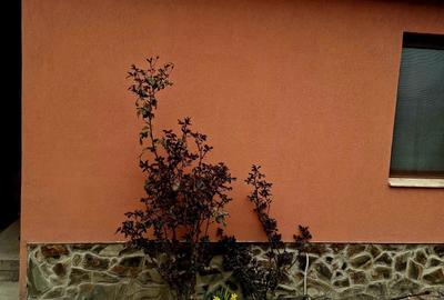 Casă cu 3 camere cu Teren 1200 Mp în Vladimirescu - 2