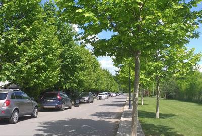 CORBEANCA PARK, Vila individuala 6 camere, Vedere padure, Mobilata & utilata - 3