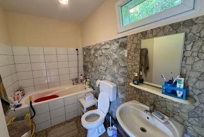 Casa de vanzare, 5 cam., 200 mp. + 5000 mp. teren, Valea Ariesului - 15