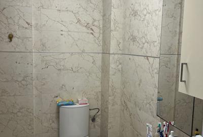 Apartament cu 2 camere decomandat în Ozana - 5