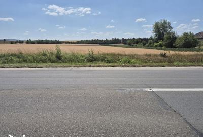 Teren de 7300 mp, în Vințu de Jos - 4
