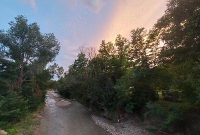 Teren de 2500 mp, în Drajna - 5