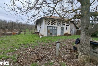 Casă cu 4 camere cu Teren 2570 Mp în Teiu - 6
