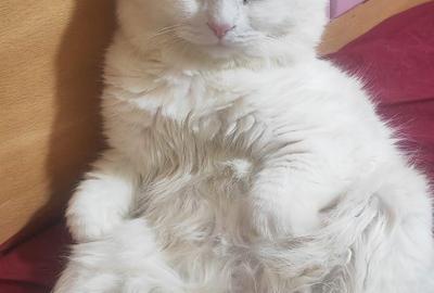 Garsonieră decomandată în Unirii - 2