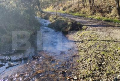 Teren în Băișoara - 2