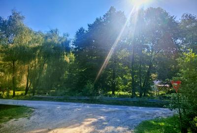 CASA si 2393 mp TEREN INTRAVILAN, Muntii Apuseni, NEGRENI - CLUJ la 1 km de E60 - 48