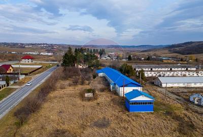 Teren  intravilan in sat Zapodia, com. Traian, jud. Bacau, 36.200mp, - 6