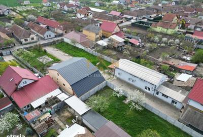 Casă cu Teren 1566 Mp în Giarmata - 3