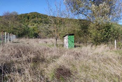 Vand casa de vacanta de 70 mp pe un teren de 1572 mp in Campul Cetatii la intrare in sat,langa sosea - 7