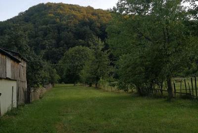 Vand casa ?i teren 2500 mp la munte in Valea Uzului. - 3