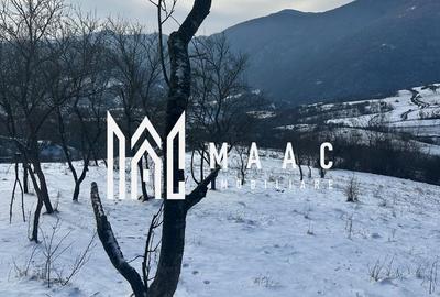 Teren de vânzare, 7750 mp I Orientare sudică I Caineni - 3