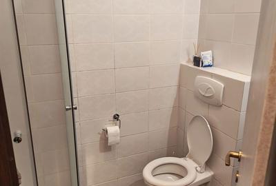 Apartament cu 3 camere în Copou - 3