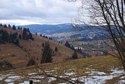 Casă cu 3 camere cu Teren 3892 Mp în Dorna Candrenilor - 5