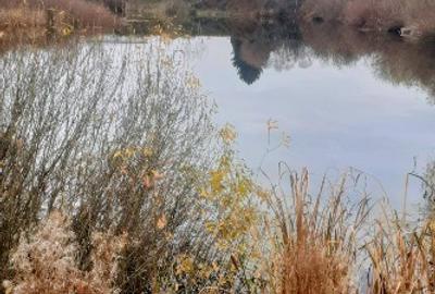 Teren extravilan6300mp langa lac - 6