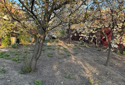 Casă cu 3 camere în Central - 7