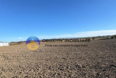 Casa Bodesti, jud. Neamt - 1