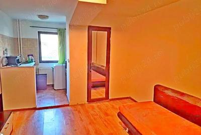 Garsonieră nedecomandată în Bucovina - 4