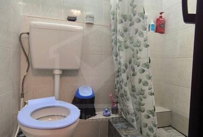 Casă cu 2 camere în Sânnicoară - 12