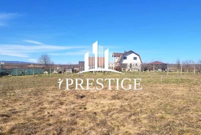 Teren agricol extravilan de 873 mp, în Șura Mică - 5