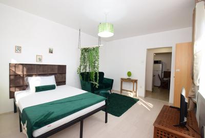 Garsonieră decomandată, mobilată în Baba Novac - 5