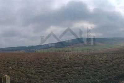 Teren de 46000 mp, în Dorobanț - 9