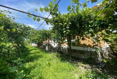 Casă individuală cu 3 camere în Vest - 2