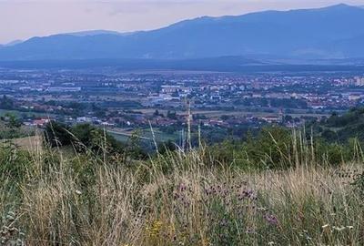 Teren agricol extravilan de 38000 mp, în Gușterița