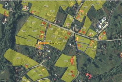 Casă cu 3 camere cu Teren 1481 Mp în Mogoșești - 11