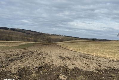 Spațiu comercial, în Central - 1