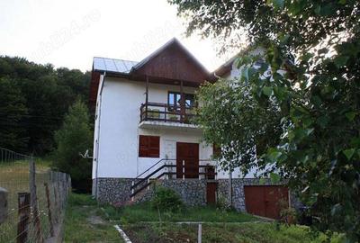 Vila frumoasa in Cheia - 2