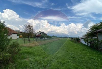 Teren 13,000mp Satulung / Soseaua Principala - 6