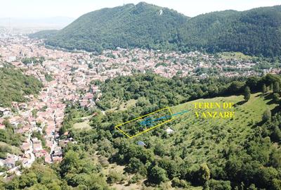 Teren in Scheii Brasovului inconjurat de natura - 9