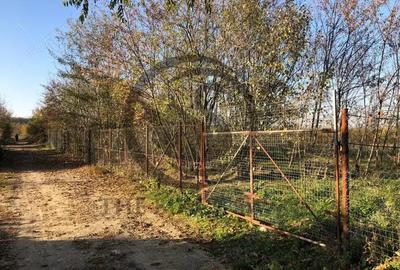 Teren intravilan de vanzare | 12.650 mp | Ghirdoveni, | Comision 0% - 10