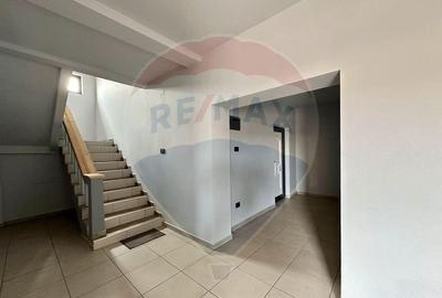 Oportunitate vie 54 ha la DN E85 - 17