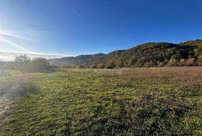 Bocsa Teren Intravilan 2754 Mp. - 3