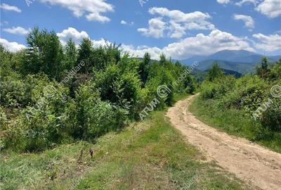Teren intravilan 3900 mp Porumbacu de Sus, Sibiu - 6