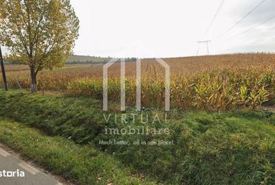 Spațiu comercial, în Șura Mare