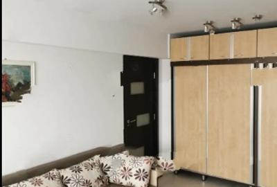 Tineretului,Parc,bl.1984,reabilitat,Amenajat,centrala,2 bai, parcare,mobilat, - 6