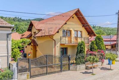 Casa DE VIS Feldioara/ Ucea/ Fagaras- DE VANZARE! - 12