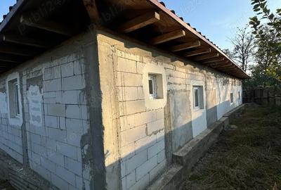 Casa de vanzare cu livada si vie Mineri judetul Tulcea - 3