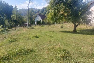 Spațiu comercial, în Achimețești - 3